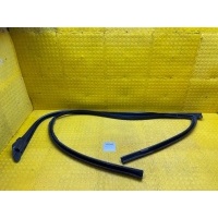 Уплотнитель опускного стекла BMW 7-series G12 2017 51339481271