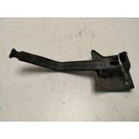 Замок капота Renault Scenic II (2003-2009) 2007 8200484672