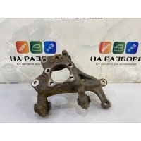 цапфа задняя (кулак) TOYOTA CAMRY XV70 2020 42304-33050