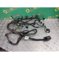 Проводка двигателя Volkswagen Tiguan внедорожник 2012г. 06j971595d
