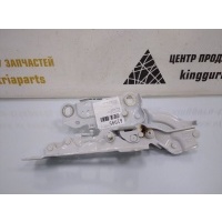 Петля капота BMW 3 G20 2018-2022 41008494431