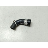 Патрубок Renault Megane II (2003 - 2009) 8200824119
