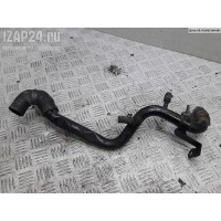 Трубка охлаждающей жидкости металлическая Volkswagen Passat B5+ (GP) 2002 038121071r