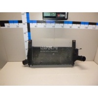 Интеркулер Nissan Pathfinder (R51) (2005 - 2014) 14461EB360