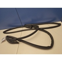 Уплотнитель двери передней левой Jeep Grand Cherokee WK2 2010- 55399213AB