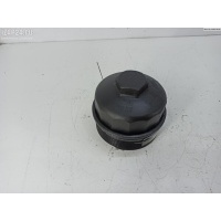 Пробка маслозаливная Audi A6 C5 (1997-2005) 2001 353102008