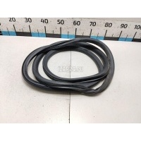 Уплотнитель двери VAG Passat [B6] (2005 - 2010) 3C5867913C5AP