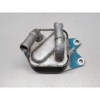 Радиатор масляный VAG Polo (2001 - 2009) 09G409061B