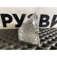 плафон освещения подножки Scania 6 2242542
