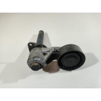 Натяжитель ремня BMW X5 E70 (2007 - 2013) 11287799851