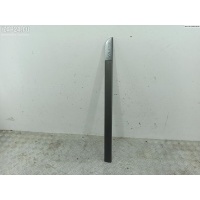 Молдинг двери передней левой Renault Megane II (2002-2008) 2006 8200574616
