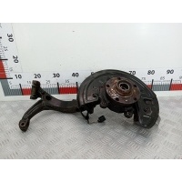Ступица (кулак цапфа) передняя правая Volkswagen Passat 5 GP (2000-2005) 2003 ,8D0407254C
