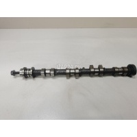 Распредвал впускной Ford Fiesta (2008 - 2019) BE8Z6250A
