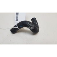 Патрубок отопителя Ford Kuga (2012 - 2019) F1F118N344DB