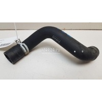 Патрубок радиатора Ford Kuga (2012 - 2019) F1FZ8286H