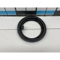 Кольцо уплотнительное (двигатель) Nissan X-Trail (T32) 2014 172405M300