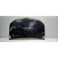 Капот Renault Sandero 2014 651001918R