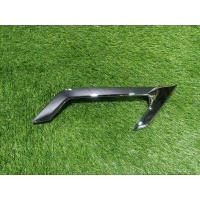 накладка на крыло BMW X6 G06 2021 51138097479, 8097479