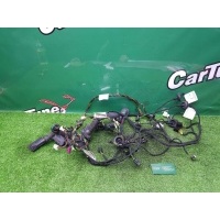 Проводки дверей Mercedes-Benz B W246 2012 A2465404805, 2465406909