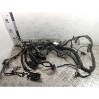 Проводка двигателя Chevrolet Cruze (J400) 2015 - наст. время 2019 42643487,
