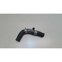 Патрубок Toyota Camry V70 2017 1626736140