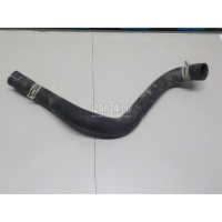 Патрубок радиатора Toyota RAV 4 2019 1657125080