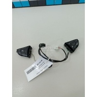 Кнопка многофункциональная Renault Duster II 2021 255500627R