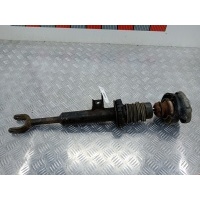 Амортизатор передний правый BMW 5-Series (F07/F10/F11/F18) (2009-2017) 2011 ,31316775576
