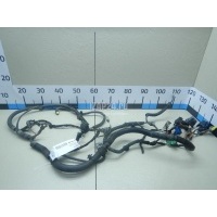 Проводка (коса) Citroen-Peugeot C4 (2005 - 2011) 6569FF