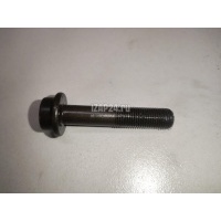 Болт распредвала VAG A6 [C6,4F] (2004 - 2011) N91050201
