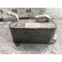 Теплообменник Volkswagen T6 2015 - 2019 2016 03N117021, 0BT317019B