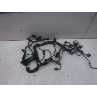Проводка моторного отсека Citroen C4 2005-2011 6569FF