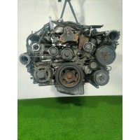 Топливная рампа Mercedes C-klasse (W203) Рестайлинг 2004 - 2007 2005 6110780449,