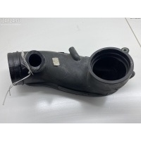Гофра инжектора Audi A6 C5 (1997-2005) 2003 06C133354G