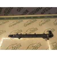 Рейка топливная (рампа) Mercedes C W203 2005 A6460700295,A6110780449,A0041536728