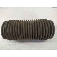 Пыльник амортизатора Перед. BMW X3 E83 (2003-2010) 2006 31321125878