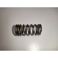 Пружина клапана VAG Q7 [4L] (2005 - 2015) 06E109623L