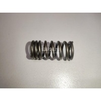 Пружина клапана VAG Q7 [4L] (2005 - 2015) 06E109623L