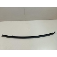 Направляющая стекла двери Renault Clio II/Symbol (1998 - 2008) 7700836657