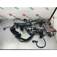 Проводка двигателя BMW 5 series E60 2009 12517803357, 12517803357, 12517803359, 12517803361, 12517803362, 7803357