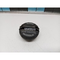 Крышка топливного бака Hyundai-Kia Magentis (2000 - 2005) 3101024000