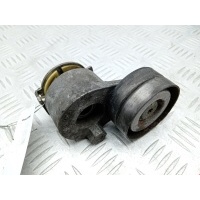Натяжитель ремня генератора (приводного поликлинового ремня Renault Scenic 2 (2003-2009) 2006 ,8200709719
