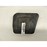 Накладка декоративная Volkswagen Passat B5+ (GP) 2001 3B0823434D