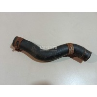 Патрубок радиатора Honda Civic 5D (2006 - 2012) 19501RSAG00