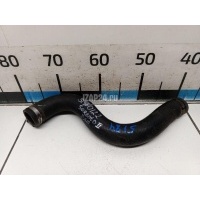Патрубок радиатора Hyundai-Kia Sorento II (2009 - 2020) 254122P000