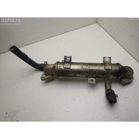 Охладитель отработанных газов Volkswagen Sharan (2000-2010) 2006 038131513P
