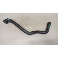 Патрубок радиатора Ford C-MAX (2010 - 2019) 1759474