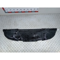 Защита радиатора Renault Scenic 2 (2003-2009) 2005 8200140334
