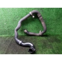 патрубок интеркулера Opel Corsa D (2006-2015) 55559259
