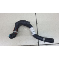 Патрубок радиатора Hyundai-Kia GV70 2020 254L5AR100